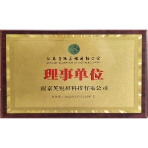 江蘇省數(shù)字經(jīng)濟(jì)聯(lián)合會(huì)理事單位